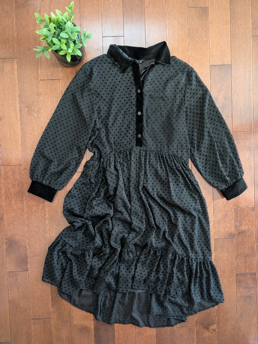 ZARA VELVET POLKA DOT DETAIL SHEER/MESH SHIRT DRESS